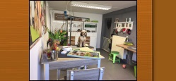 Hundesalon Bad Kreuznach